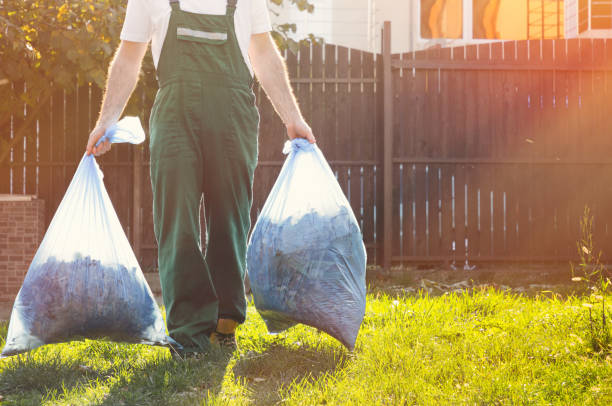 Best Basement Cleanout  in Edison, GA